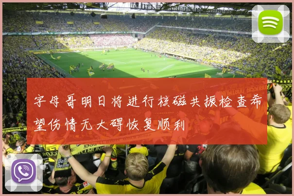 字母哥明日将进行核磁共振检查希望伤情无大碍恢复顺利