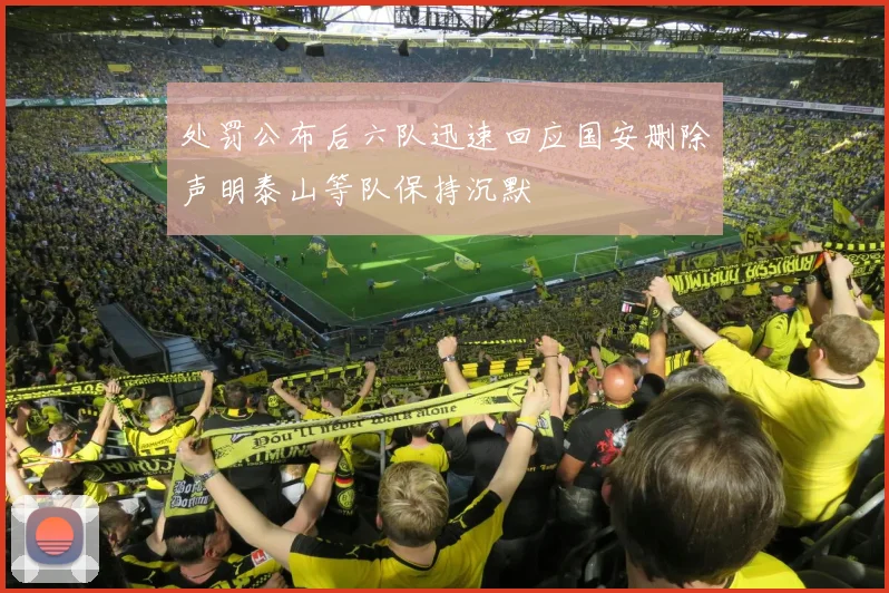 处罚公布后六队迅速回应国安删除声明泰山等队保持沉默