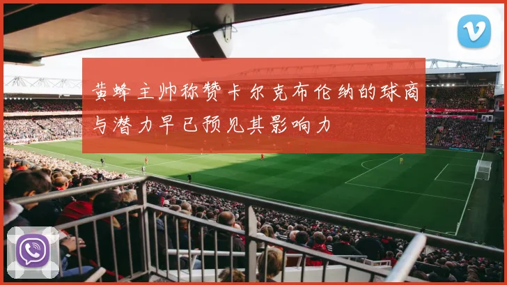 黄蜂主帅称赞卡尔克布伦纳的球商与潜力早已预见其影响力